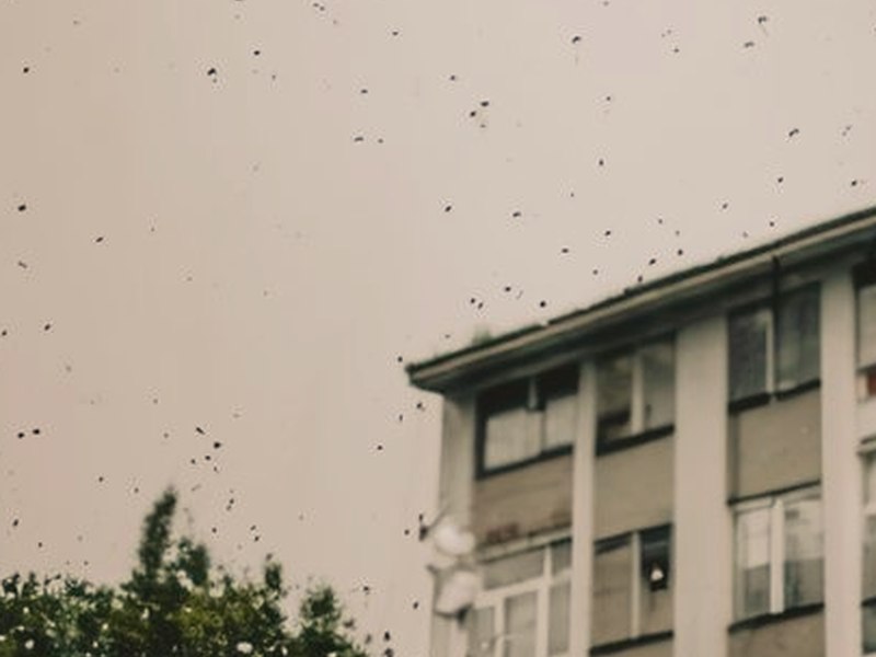 社內戀愛